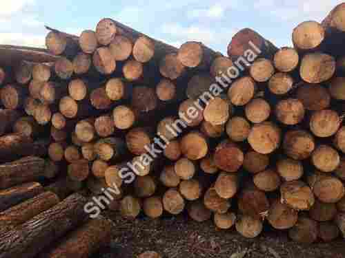 Pinewood Round Logs