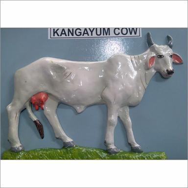 White Kangayum Cow Model