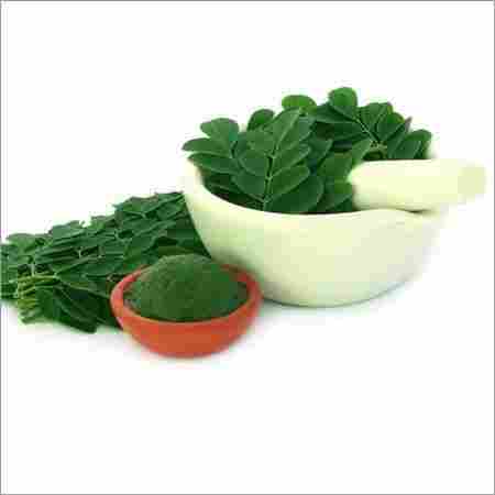 Moringa Extract