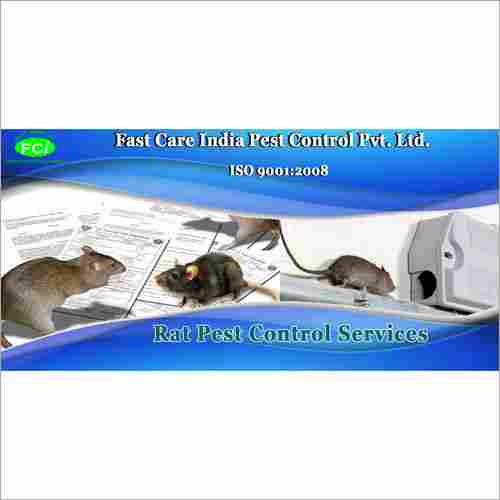 Rat Pest Control Service