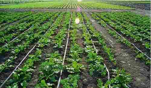 Agriculture Irrigation Systems