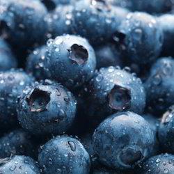 Blueberry Extract Age Group: For Adults