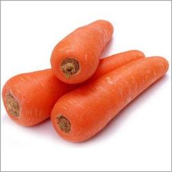 Agriculture Carrots Seeds