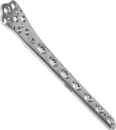 Distal Femur With Locking System Plate Bone Implants