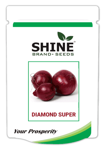Diamond Super Onion Seed