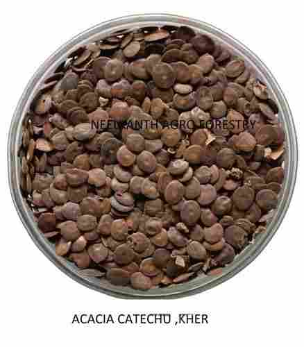 Acacia Catechu Kher