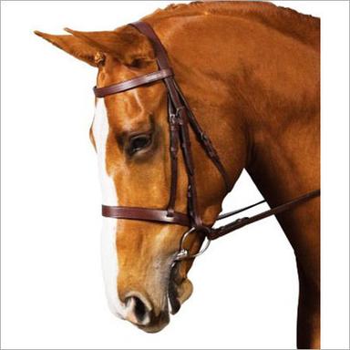 All Type Leather Bridles