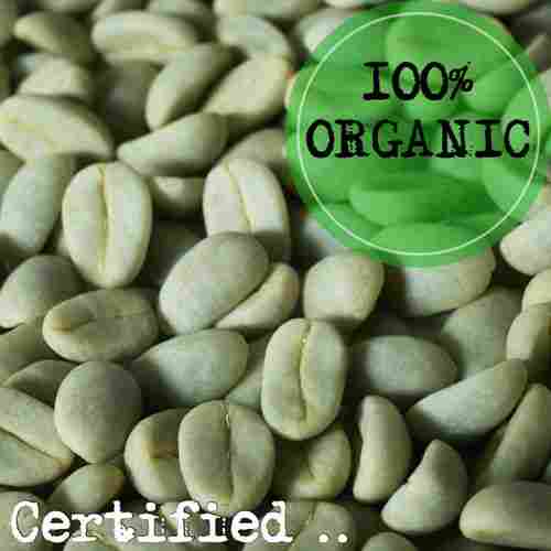 Organic Green Coffee Beans