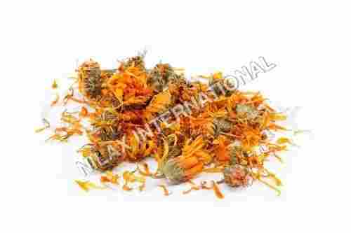 Calendula