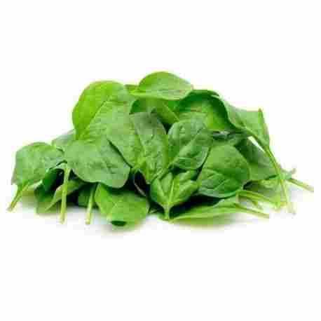 Spinach extract
