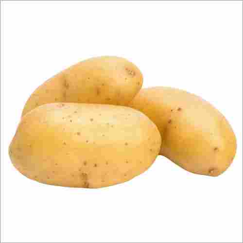 Fresh Potato