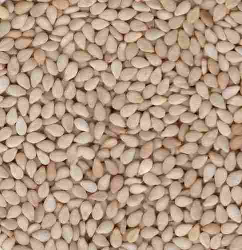 Raw White Sesame Seeds