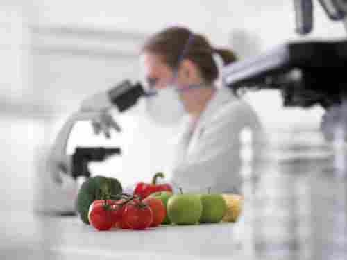 Vegetable Testing Service