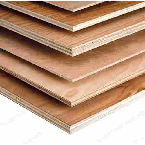 19MM Hardwood Plywood