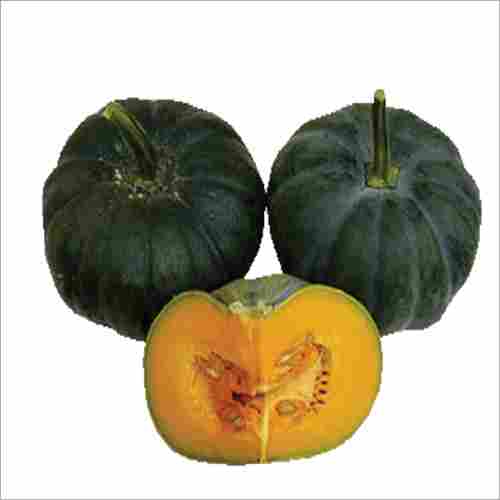 Shallu F1 Hybrid Pumpkin Seeds