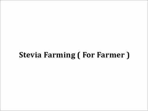 Farmer Stevia Farming