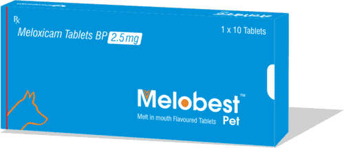 Melobest(Meloxicam) Pet Tabs-MELOXICAM 2.5MG