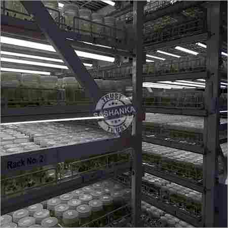 Tissue Culture Racks