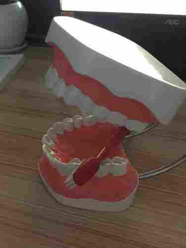 Tooth Brush Model for Demonstration