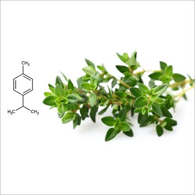 Para-Cymene Natural Ingredients: Herbal Extract