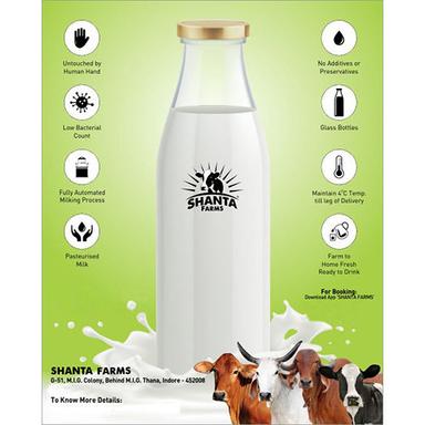 Original Organic Cow Milk