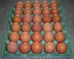 Premium Farm Fresh Chicken Table Eggs Brown