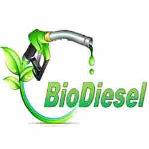 B100 Bio Diesel Dispensar Nozzle