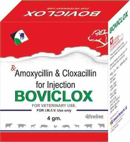 Amoxycillin Cloxacillin Injection For Veterinary Use Only