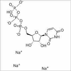 Uridine-5-Triphosphoric Acid Trisodium Salt
