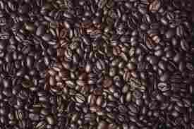 Coffea robusta Dry Extract