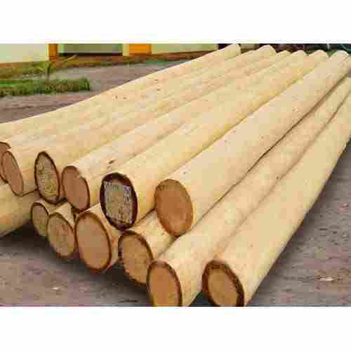 Safeda Wood Logs