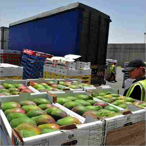 International Food Shipment Services
