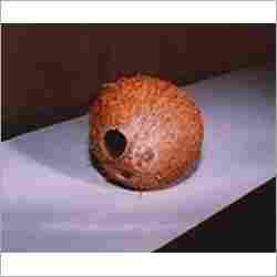 Whole Coconut Empty Shell with Fibre and Hole