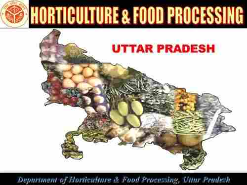 Uttar Pradesh Food Processing Industry Policy-2023
