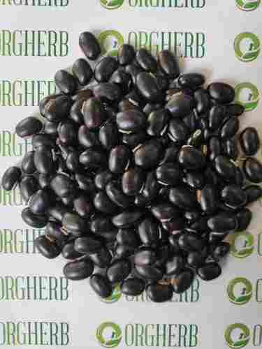 Mucuna Prurien Black Seeds