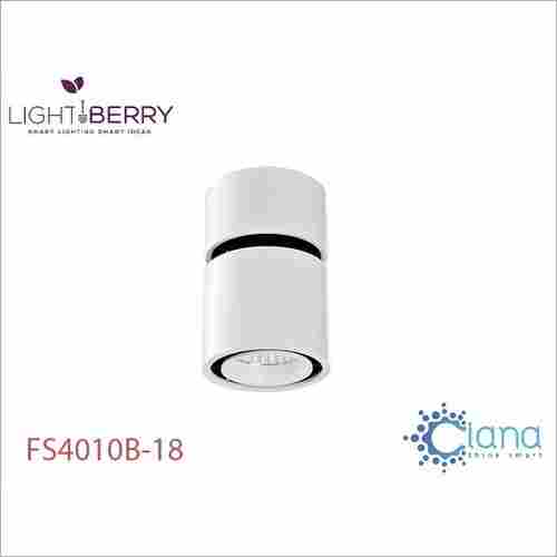 Lightberry LED Cylinder Light