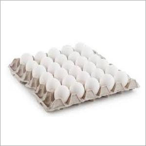 Durable Poultry Paper Egg Tray