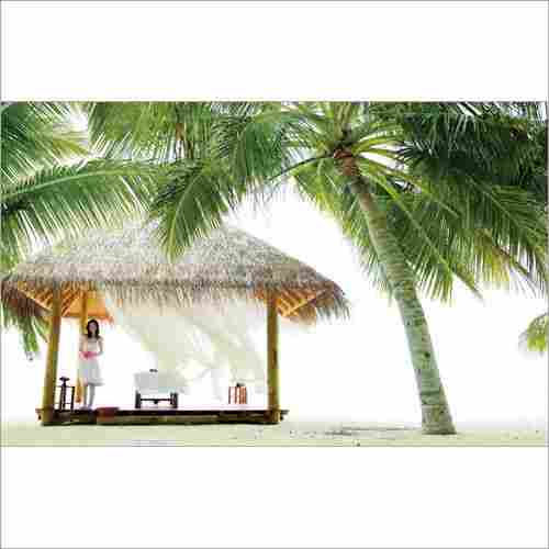 Kerala Tour Packages