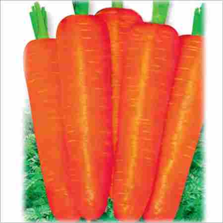 Deepred Prime Carrot Seeds