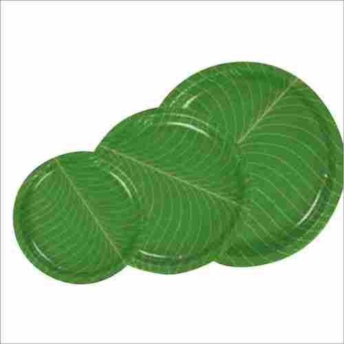 Disposable Green Paper Plate