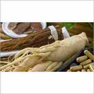 Panax Ginseng Root Extract