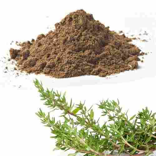 Thyme Extract