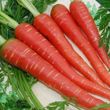 Carrot pulp