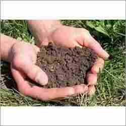 Soil Analysis Services