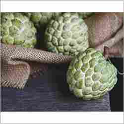 Custard Apple