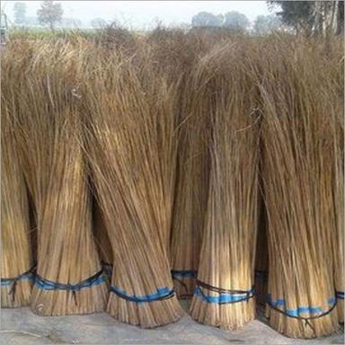 52 इंच नारियल स्टिक झाड़ू आवेदन: फर्श की सफाई