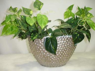 Aluminum Nickel Plated Flower Vase Application: Home Decor