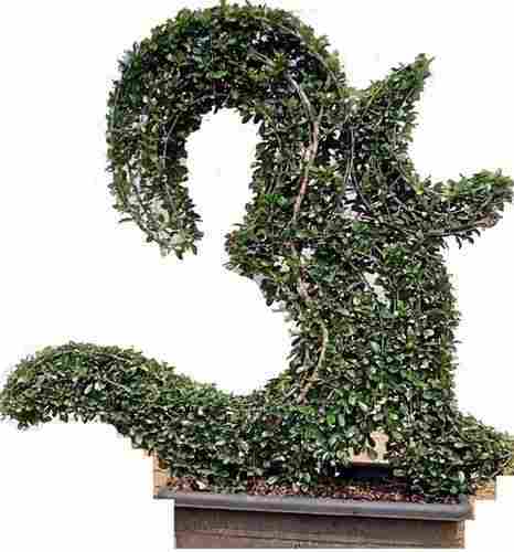 Hindu Sacred Ohm Symbol Topiary