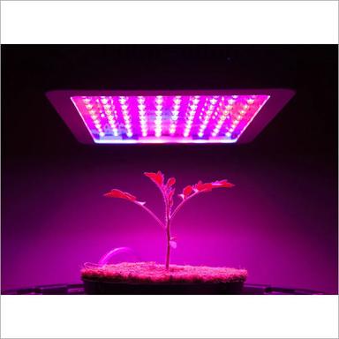 White Horticulture Grow Light