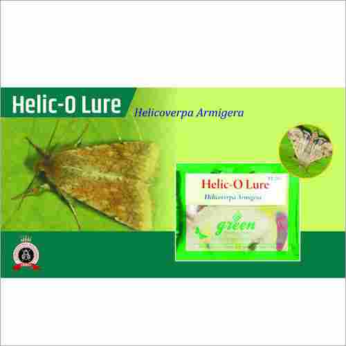 Helicoverpa Armigera Pheromone Trap - Heliothis Cotton Bollworm